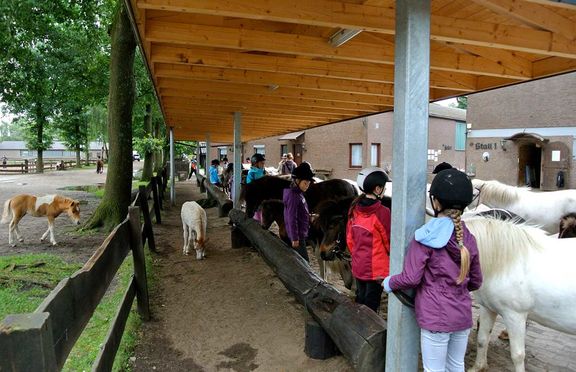 Reiten und Pferde im Pony Park